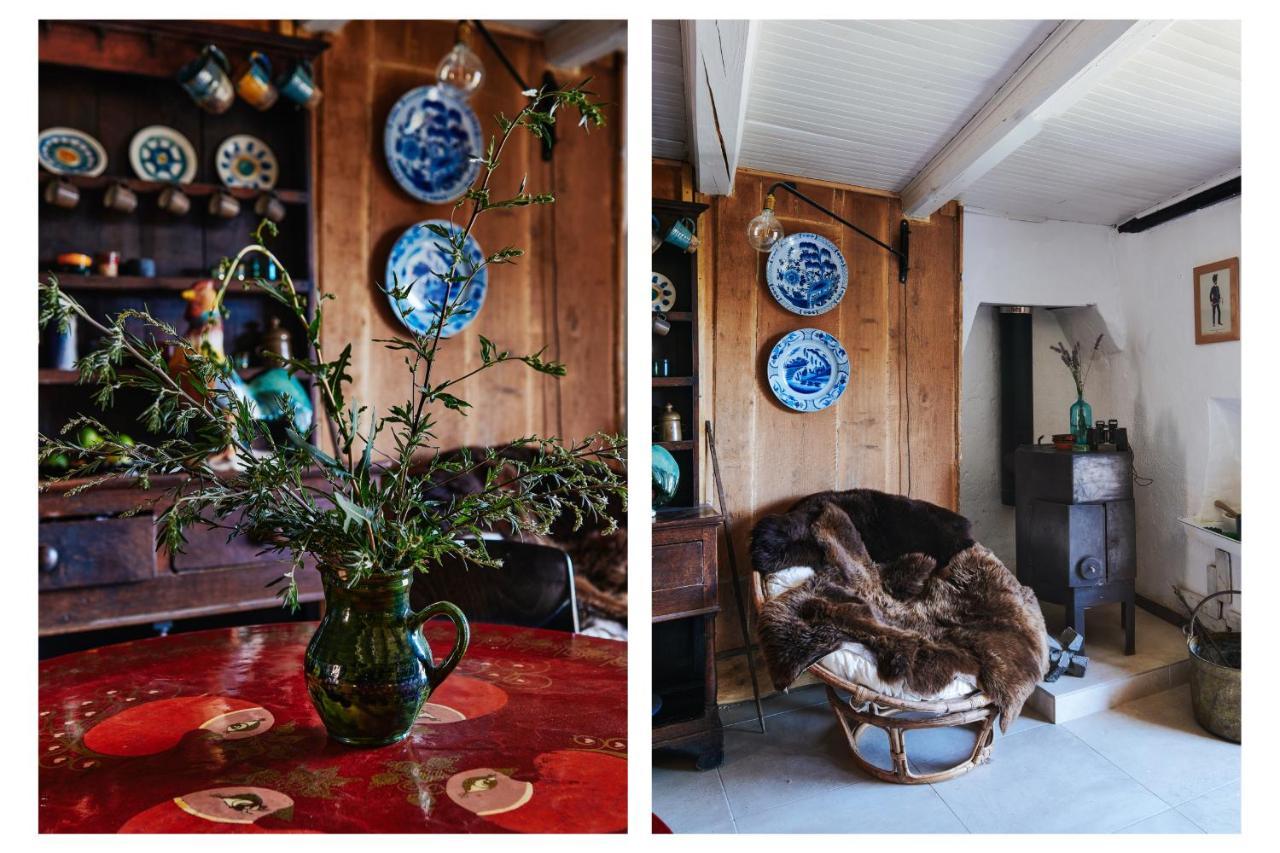 Rustic Fireplace Hotel Comfort Jaccuzi Dog Friend Bourg-Saint-Maurice Eksteriør bilde